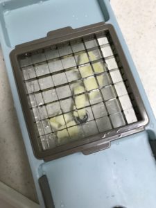 格子の向こう