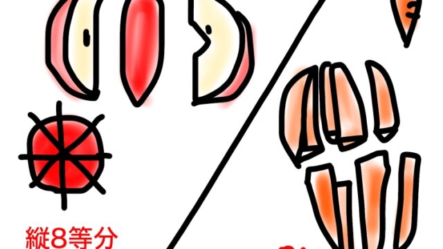 クビンス ホールスロージューサー EVO-820